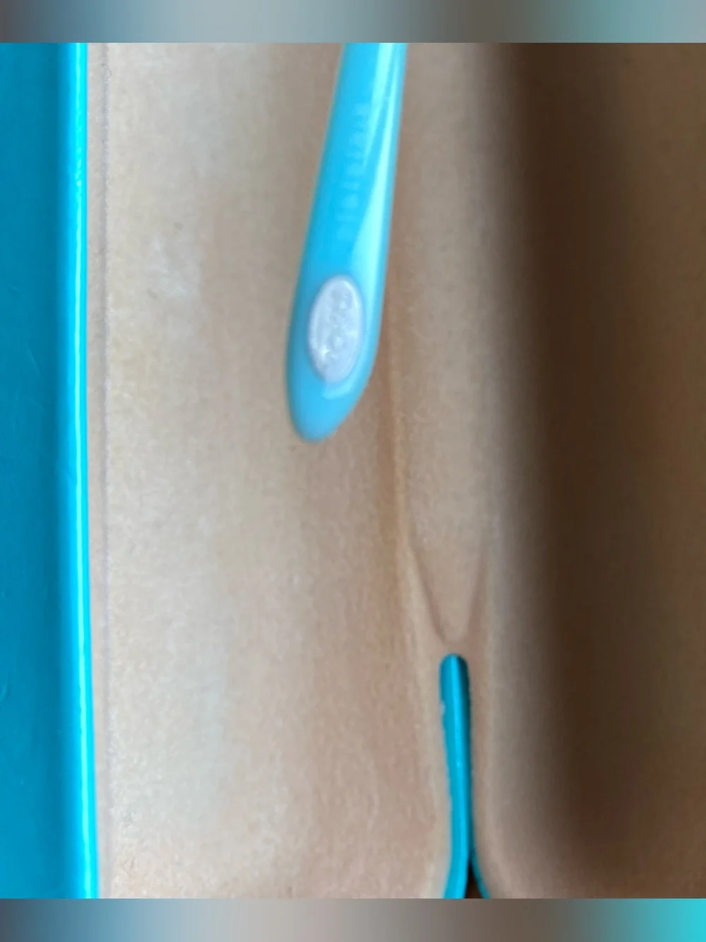 Tiffany & Co. Tortoiseshell Frames with Turquoise Case